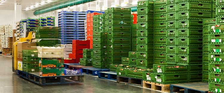Logística de alimentos y sus desafíos globales y locales