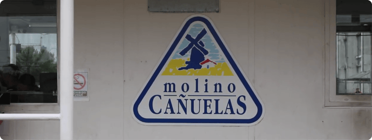 Molinos Cañuelas - Logo Caso de Exito