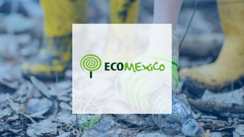 EcoMexico e Drivin