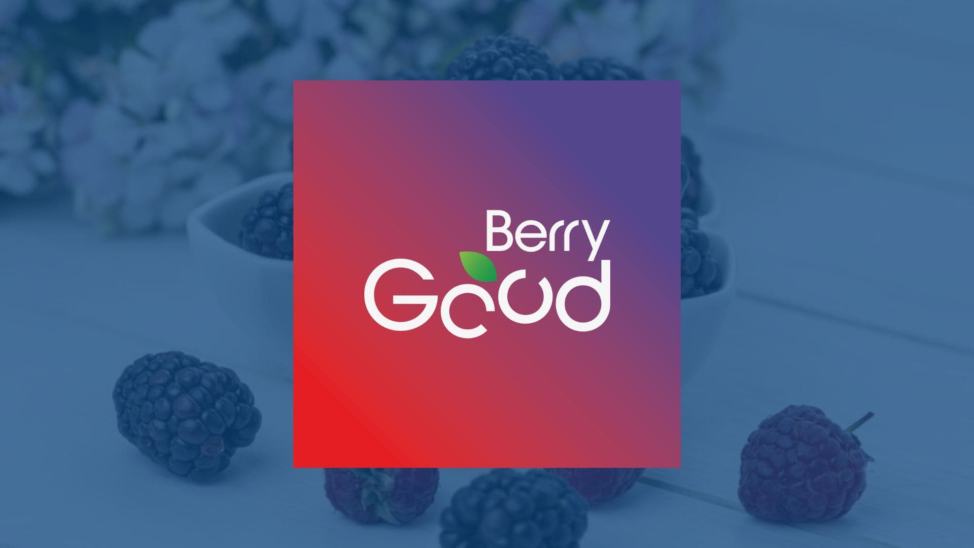 Berrygood-berries-cliente-Drivin